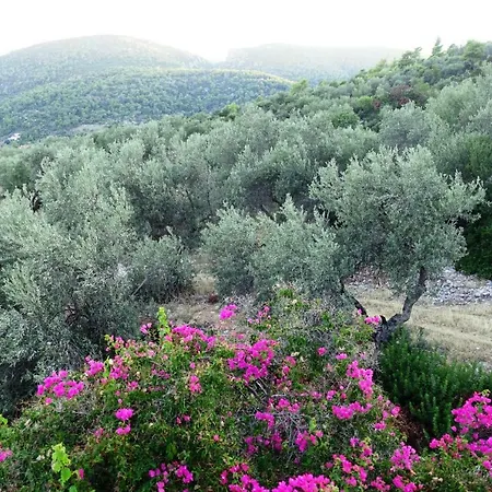 Maisonette Ilios Hébergement de vacances Kórfos